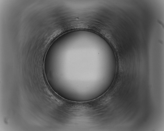 X0000103480625200809191900