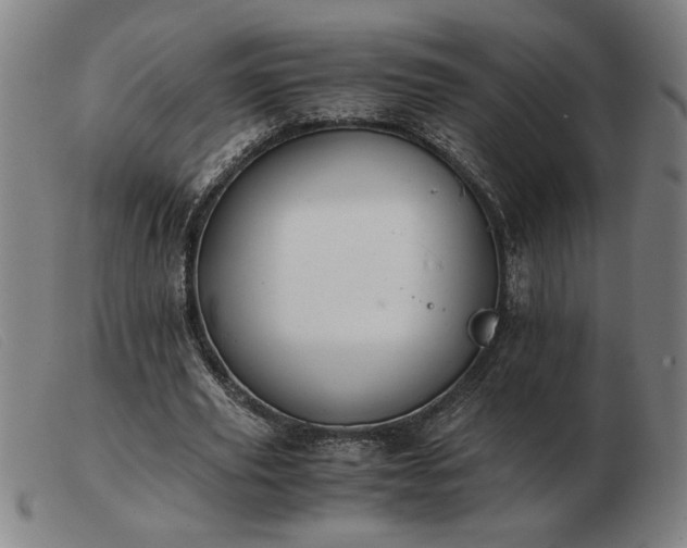 X0000103480629200809191900