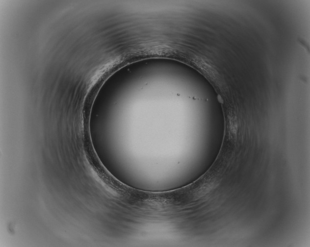 X0000103480630200809191900