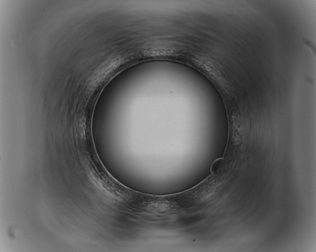 X0000103480631200809191900