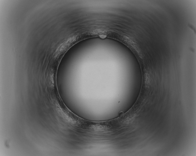 X0000103480633200809191900