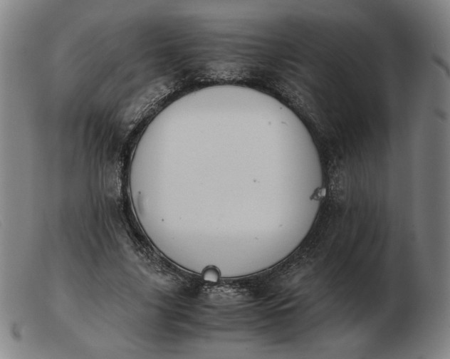 X0000103480635200809191900