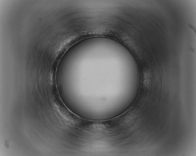 X0000103480636200809191900