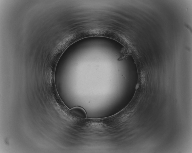 X0000103480637200809191900