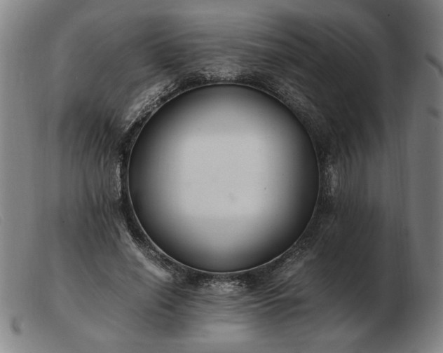 X0000103480638200809191900