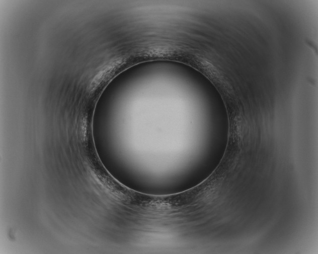 X0000103480640200809191900