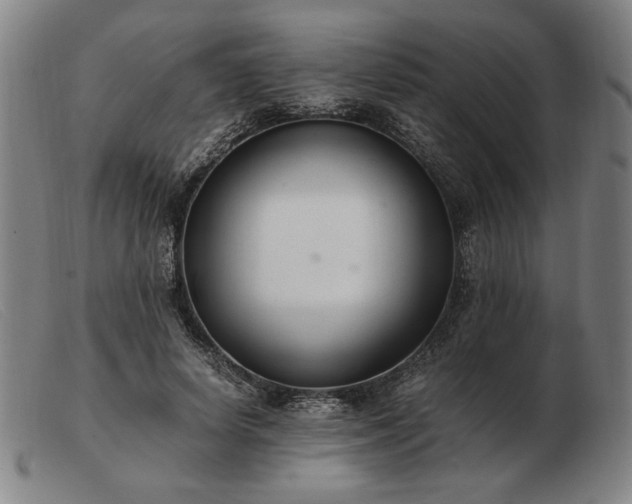 X0000103480642200809191900