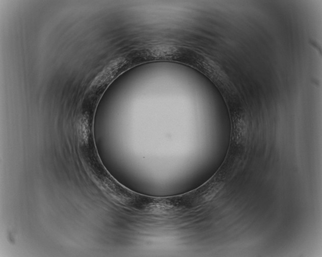 X0000103480644200809191900