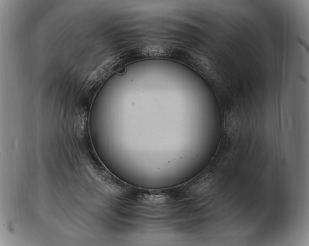 X0000103480645200809191900