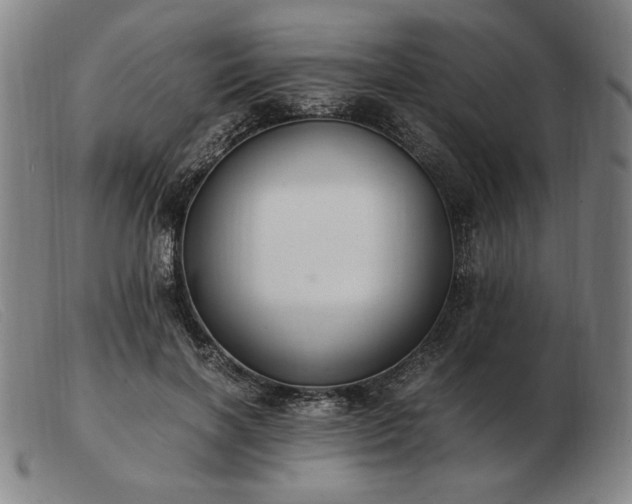 X0000103480646200809191900