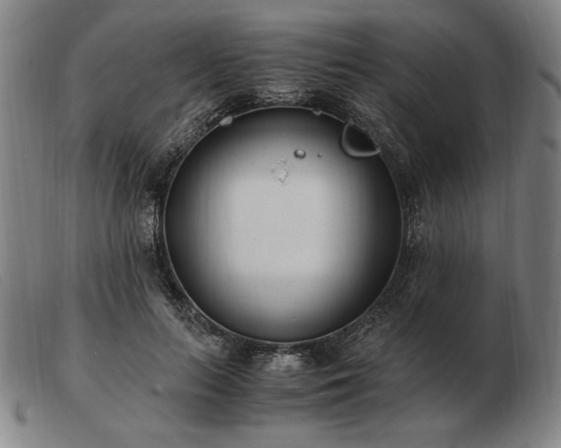 X0000103480647200809191900