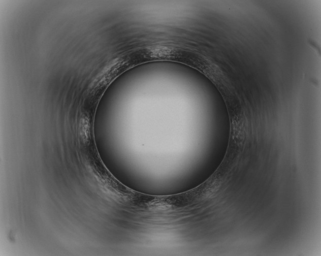 X0000103480648200809191900