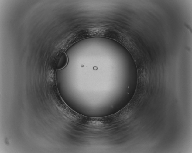 X0000103480649200809191900
