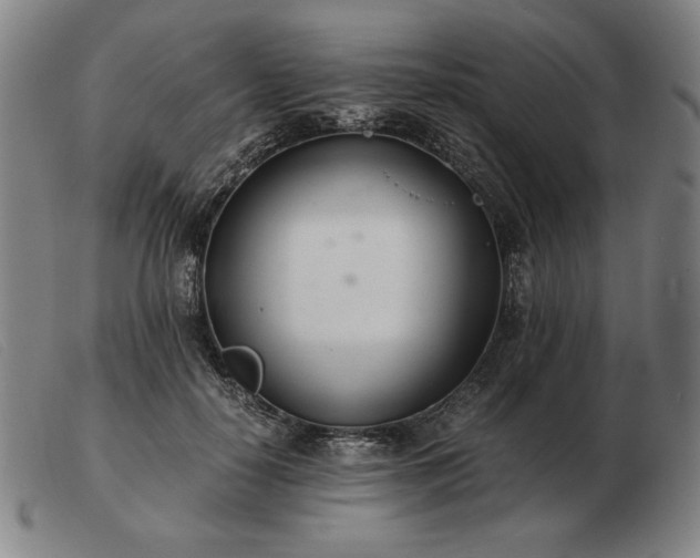 X0000103480650200809191900