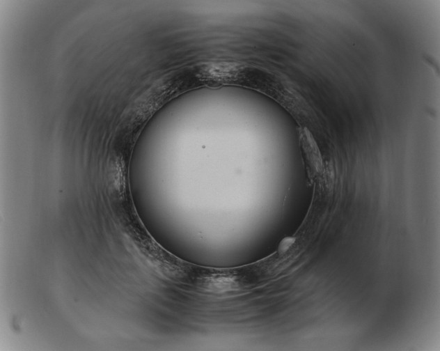 X0000103480651200809191900