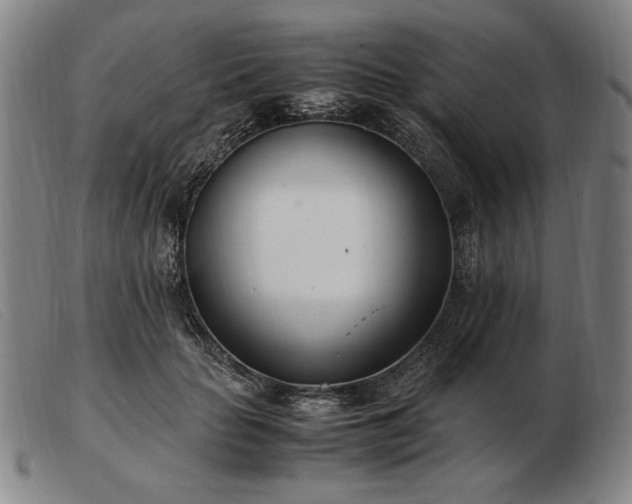 X0000103480653200809191900
