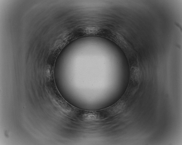 X0000103480655200809191900