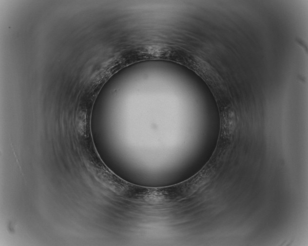 X0000103480656200809191900