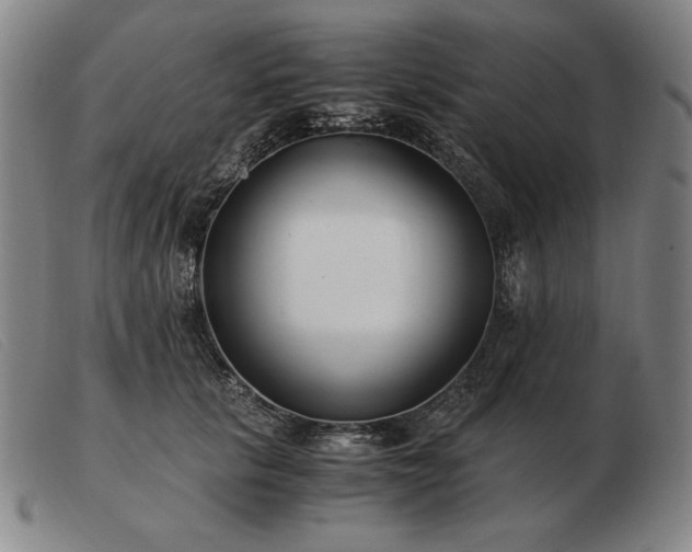 X0000103480657200809191900