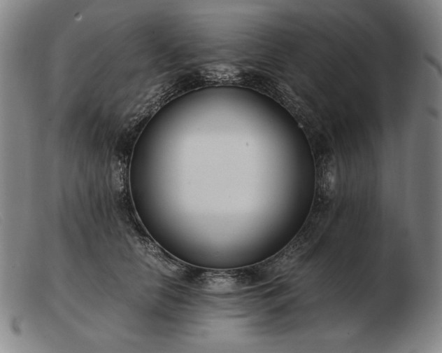 X0000103480658200809191900