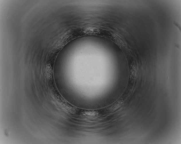 X0000103480659200809191900