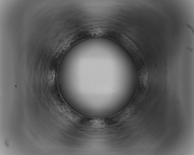 X0000103480660200809191900