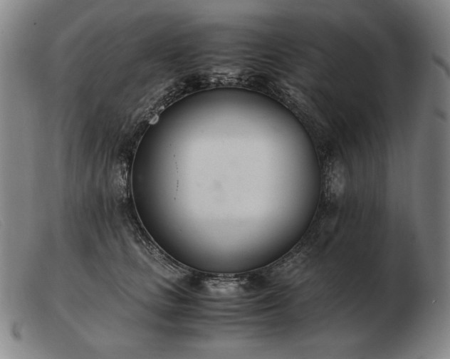X0000103480661200809191900