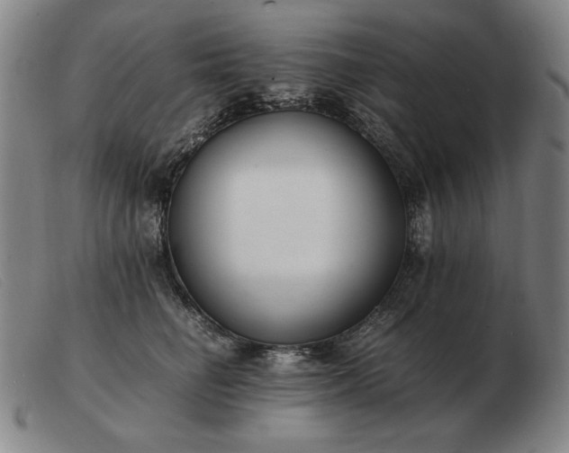 X0000103480662200809191900