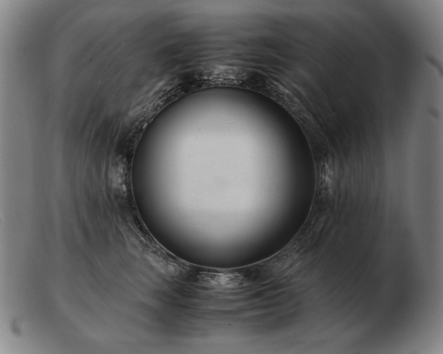 X0000103480663200809191900