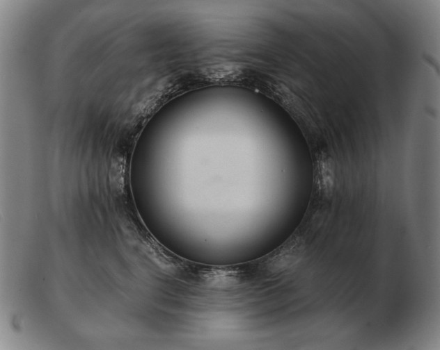 X0000103480664200809191900