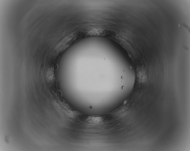 X0000103480665200809191900