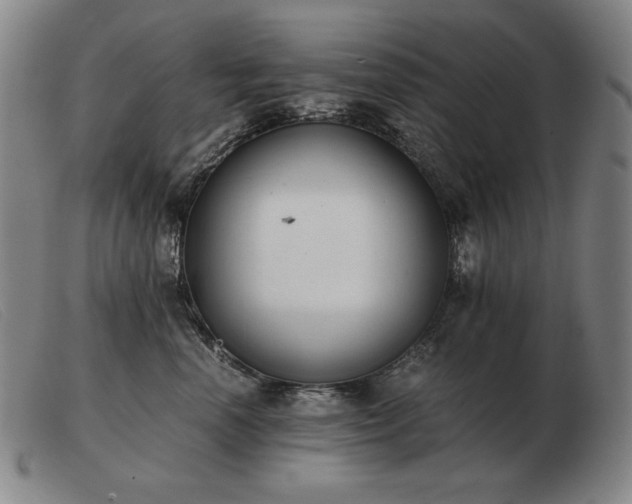 X0000103480666200809191900