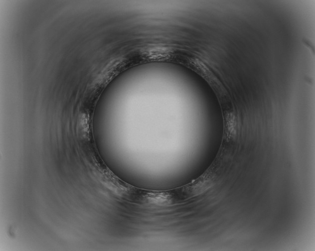 X0000103480667200809191900