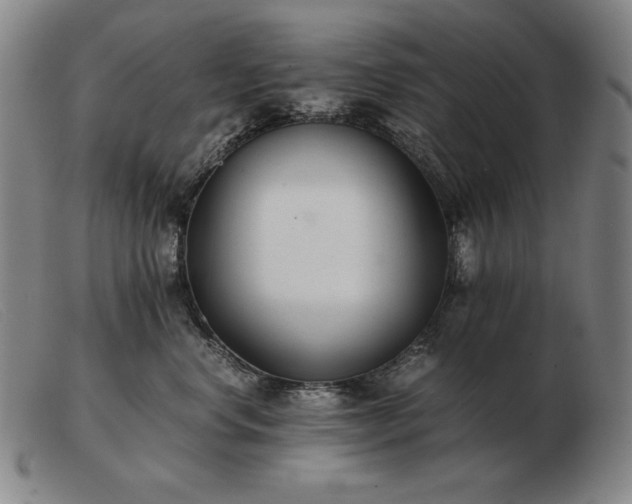 X0000103480668200809191900