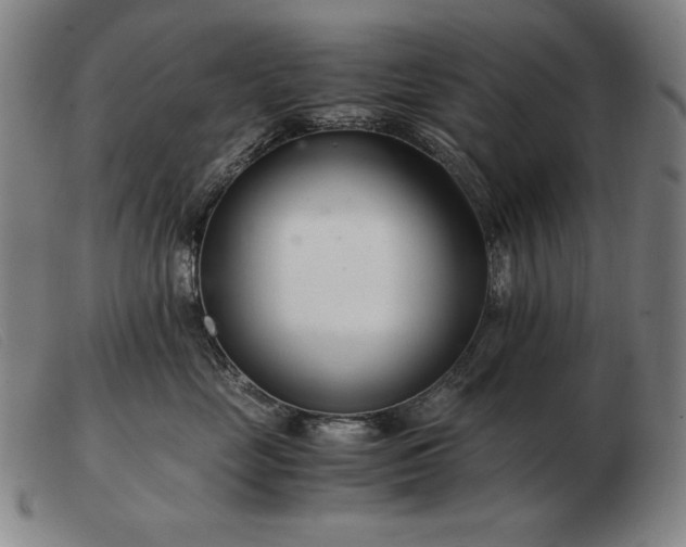 X0000103480669200809191900