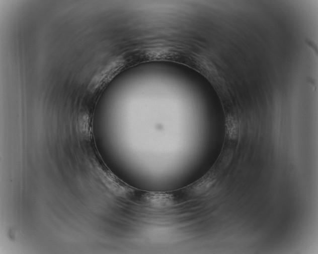 X0000103480670200809191900