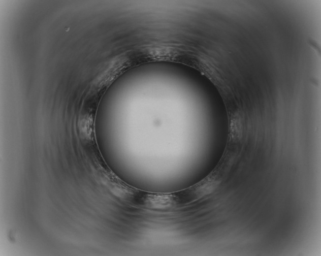 X0000103480671200809191900