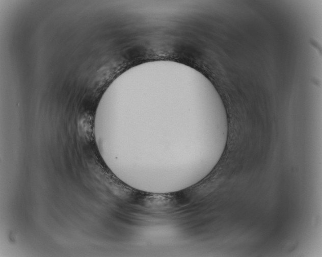 X0000103480672200809191901
