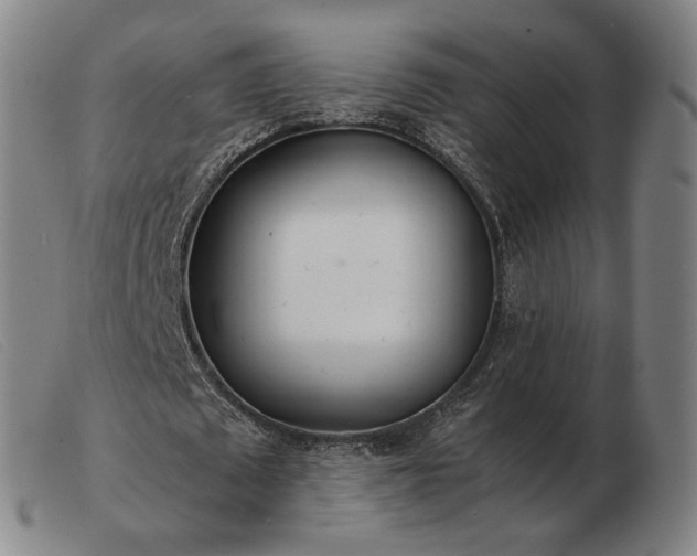 X0000103480673200809191900