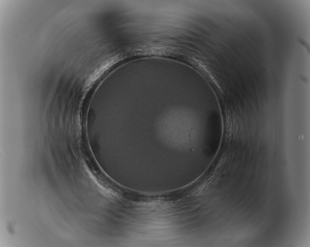 X0000103480674200809191900
