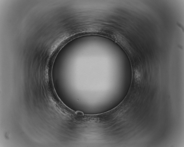 X0000103480676200809191900