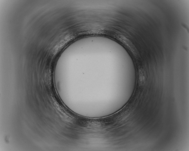 X0000103480677200809191900
