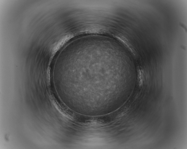 X0000103480678200809191900