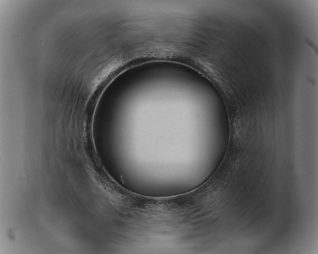 X0000103480679200809191900