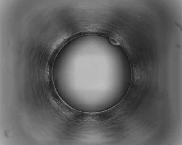 X0000103480680200809191900