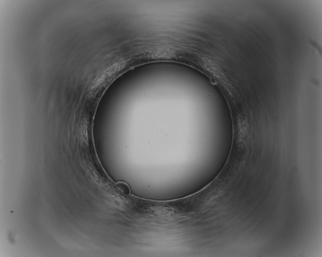 X0000103480681200809191900
