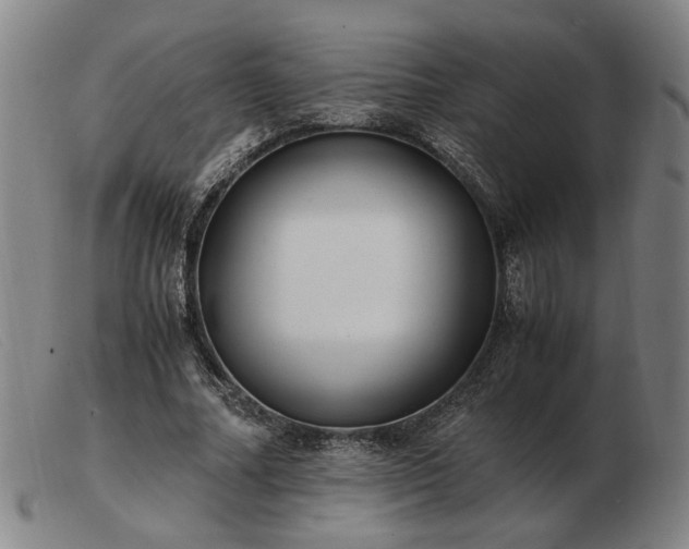 X0000103480682200809191900