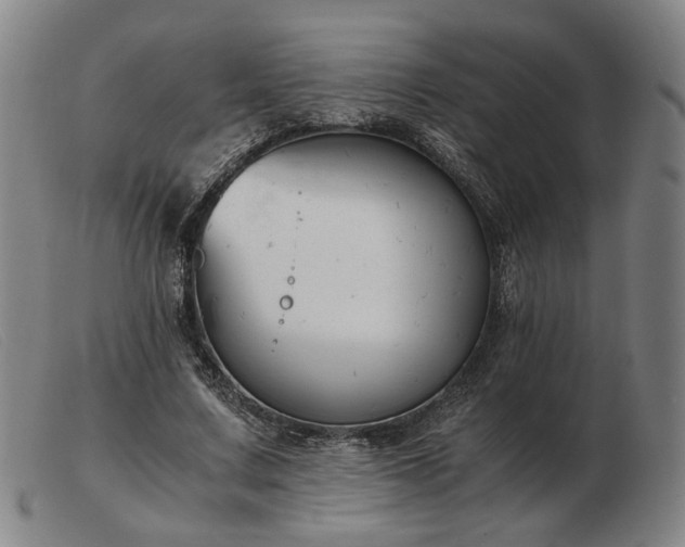 X0000103480683200809191900
