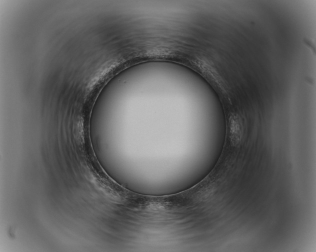 X0000103480684200809191900
