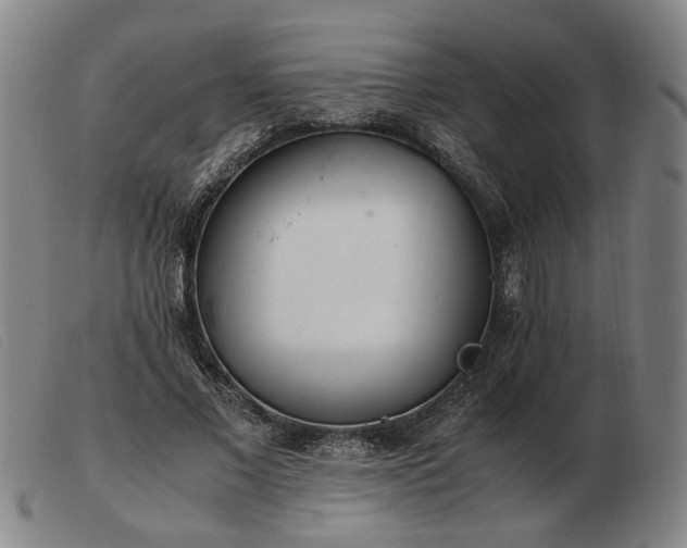 X0000103480685200809191900